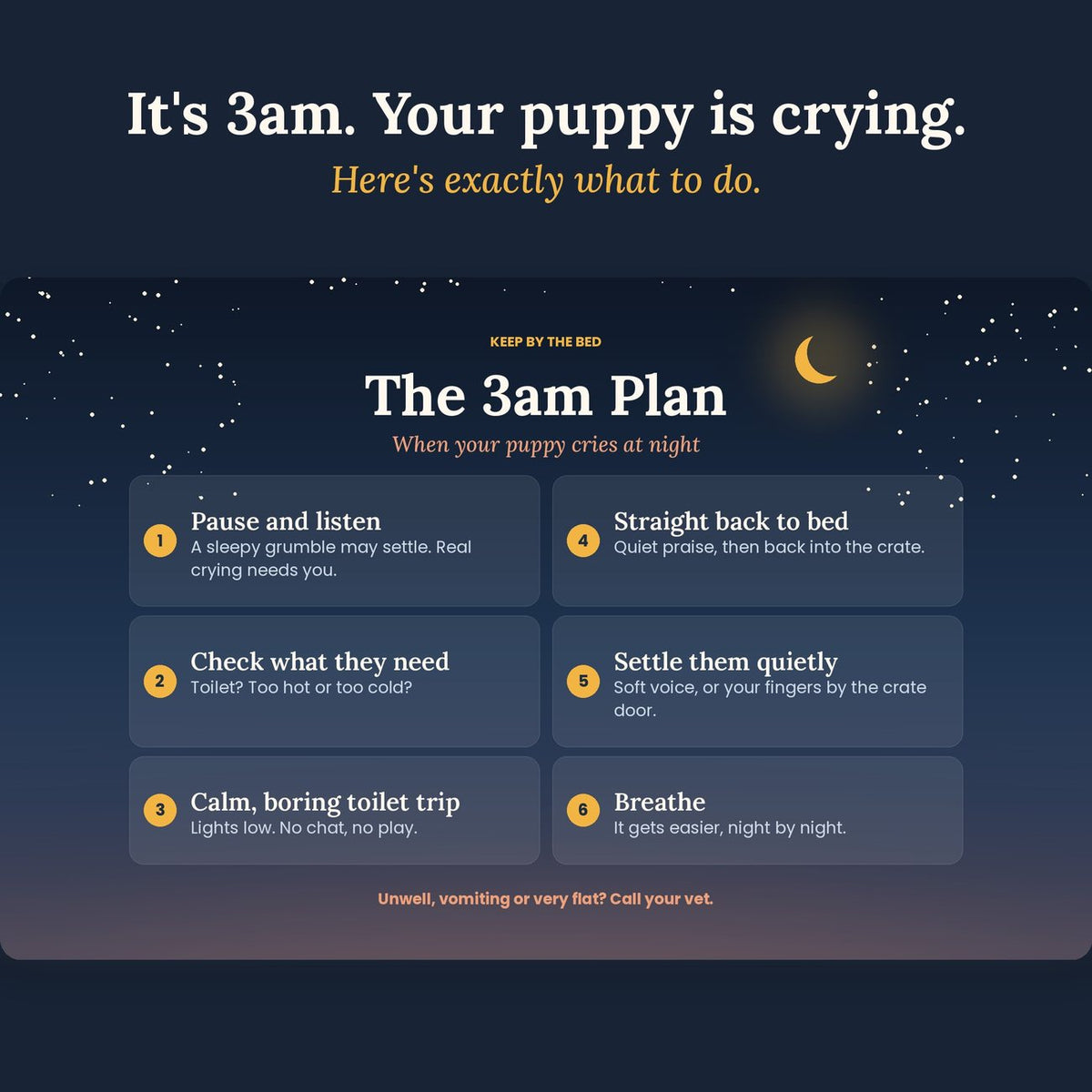 The 3am Plan wallpaper