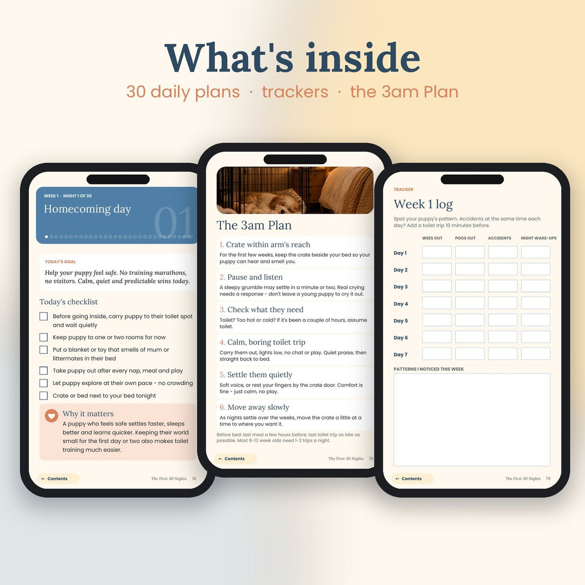 Pages from The First 30 Nights on phones